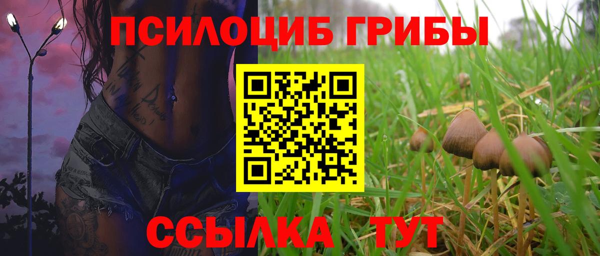 Галлюциногенные грибы Psilocybine cubensis Кимры
