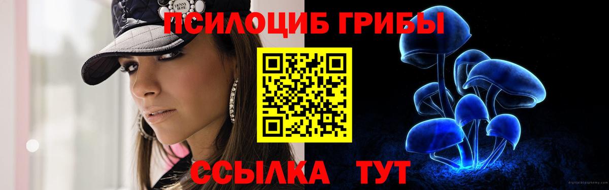 Кимры  Галлюциногенные грибы ЛСД  Галлюциногенные грибы MAGIC MUSHROOMS  Вход с VPN 